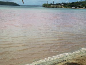Vavaʻu beach sea turns blood red sparking panic