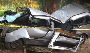 A Tongan man dies after car hits tree in BOP